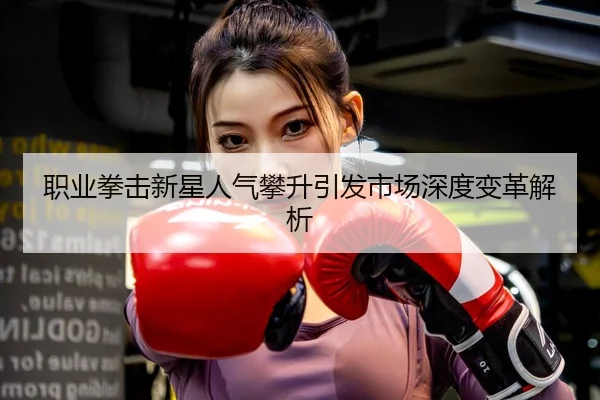 职业拳击新星人气攀升引发市场深度变革解析